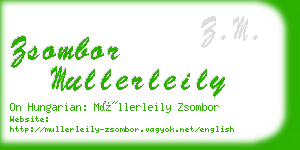 zsombor mullerleily business card